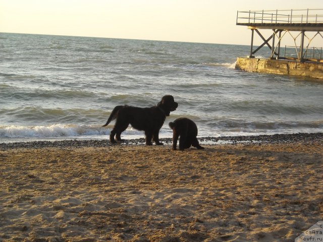 Фотография № 50020