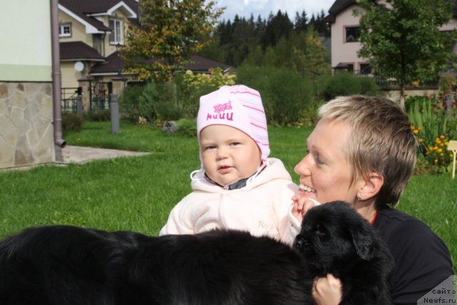 Фото: ньюфаундленд Сладкая Моя от Сибирского Медведя, Наталья Ярыгина, Варя