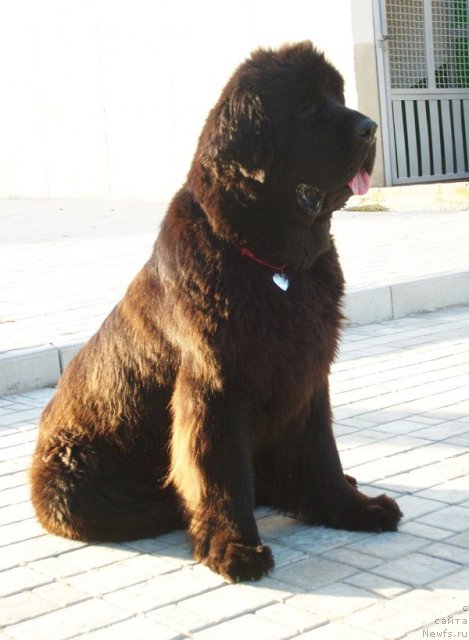 Фотография № 50131