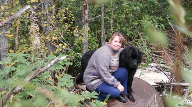 Фотография № 50139