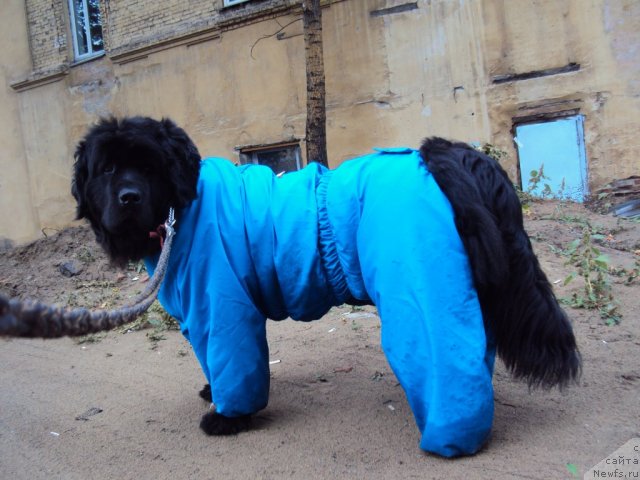 Фотография № 50147