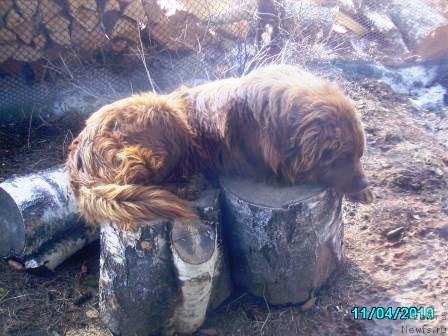 Фото: Данюшка