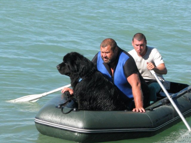 Фотография № 50220