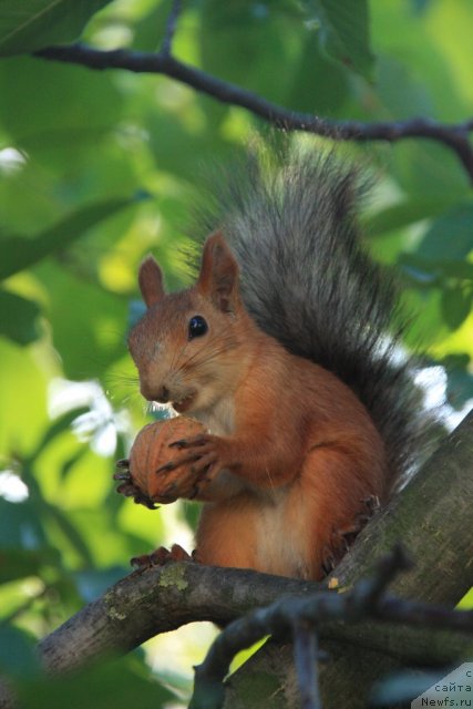 Фото: Ирина Воробьева