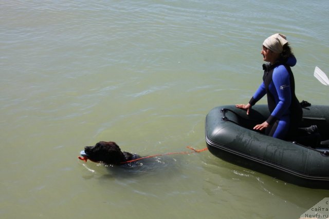 Фотография № 50265