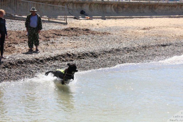 Фотография № 50269