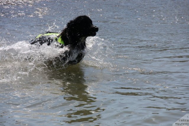 Фотография № 50270