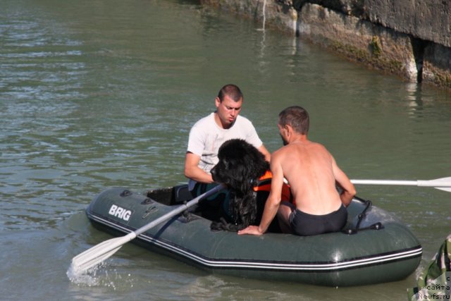 Фотография № 50273