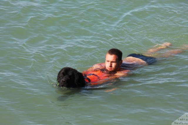 Фотография № 50274