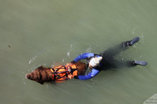 Фотография № 50276