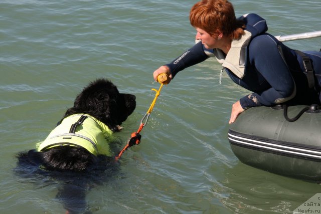 Фотография № 50277