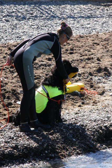 Фотография № 50278