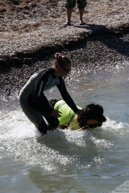 Фотография № 50279