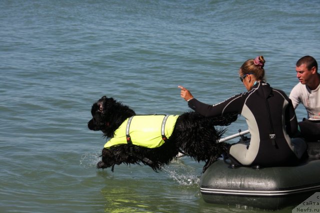 Фотография № 50281