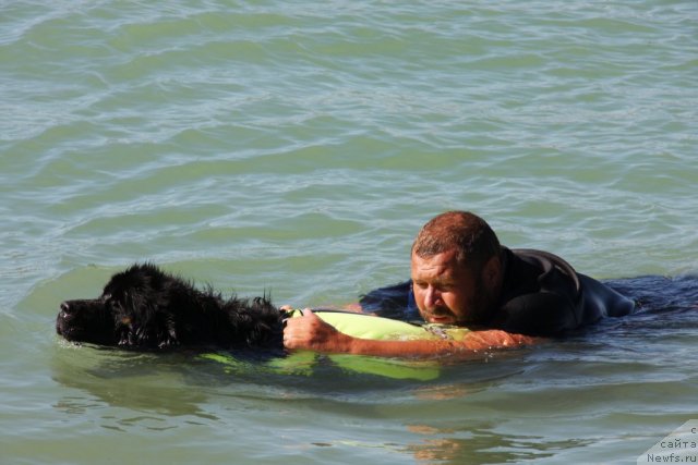 Фотография № 50284