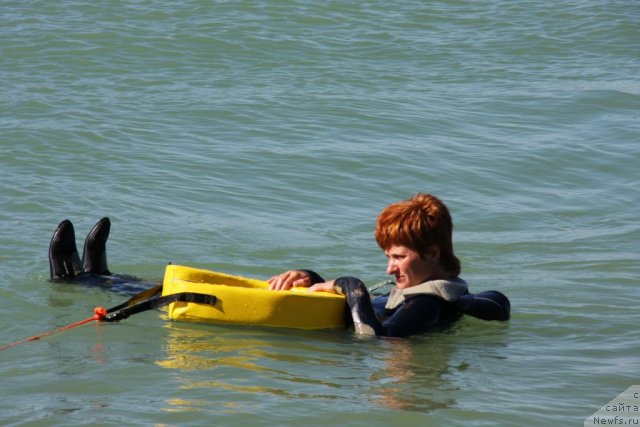 Фотография № 50285