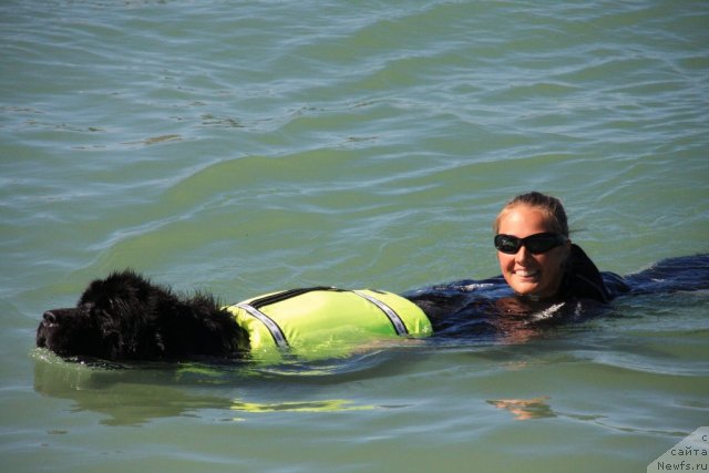 Фотография № 50286