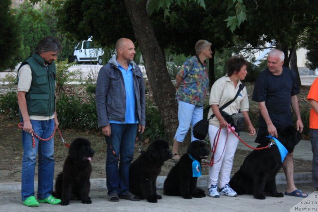 Фотография № 50290