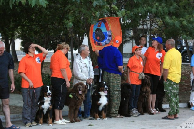 Фотография № 50291