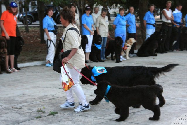 Фотография № 50293