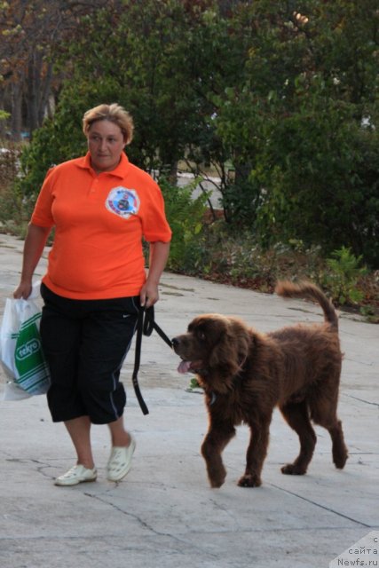 Фотография № 50294