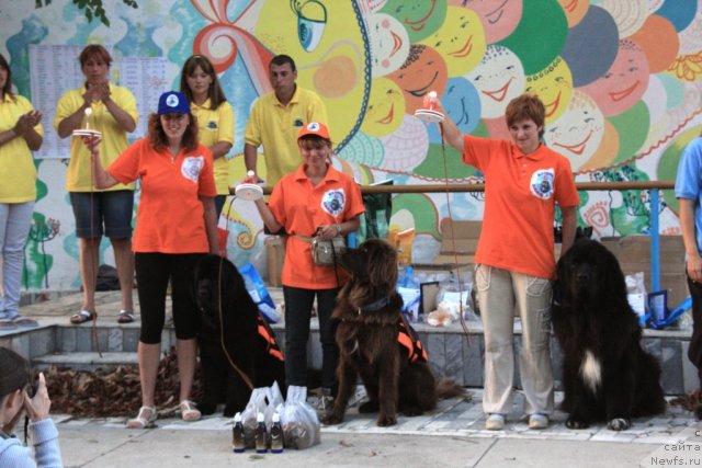 Фотография № 50296