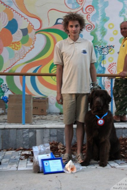 Фотография № 50297