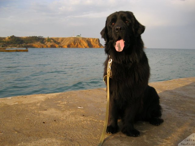 Фотография № 50362