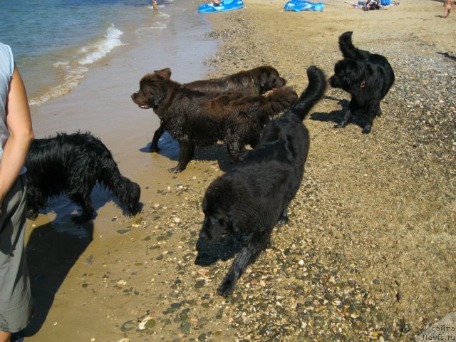 Фотография № 50363