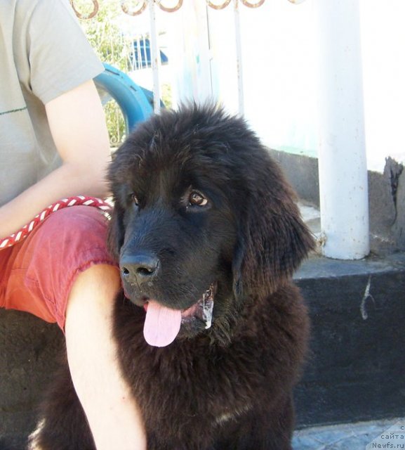 Фотография № 50387