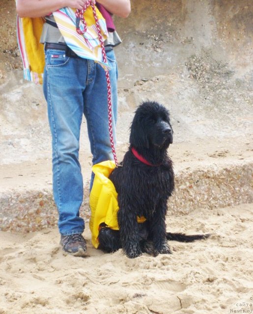 Фотография № 50388