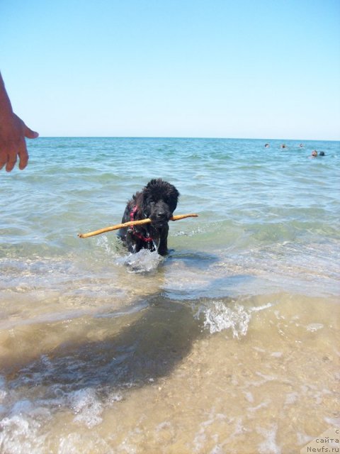 Фотография № 50390