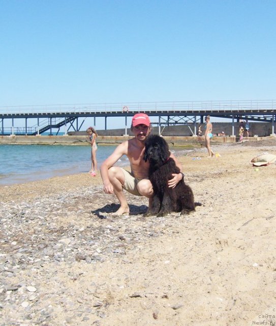 Фотография № 50395