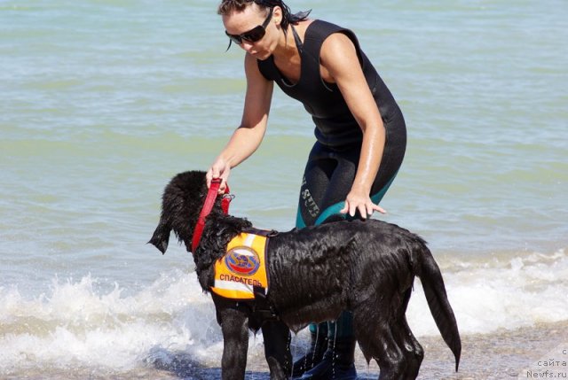 Фотография № 50396