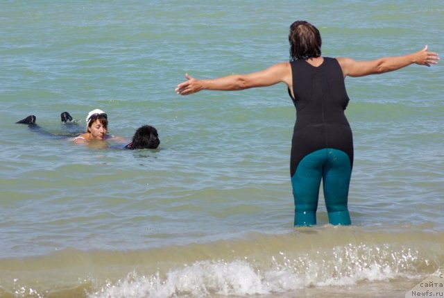 Фотография № 50399