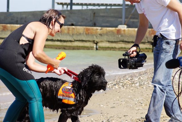 Фотография № 50400