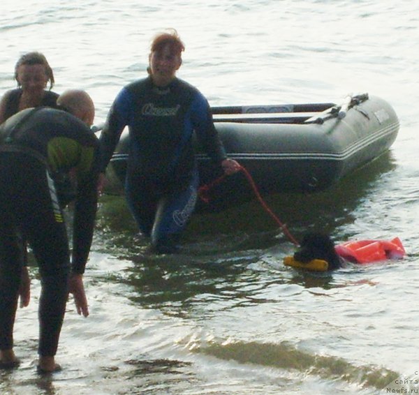 Фотография № 50411