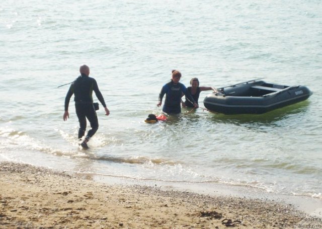 Фотография № 50415