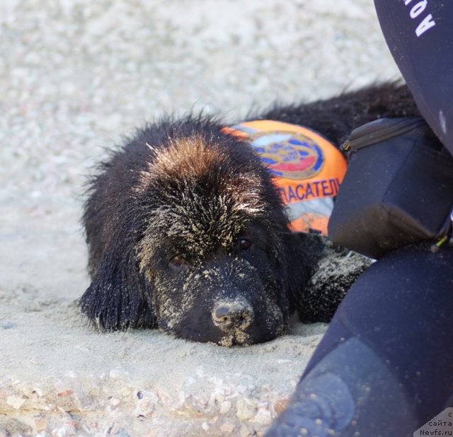 Фотография № 50416