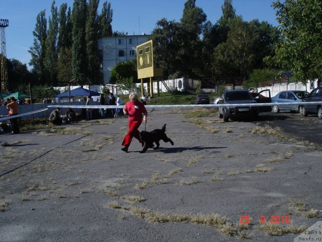 Фотография № 50441