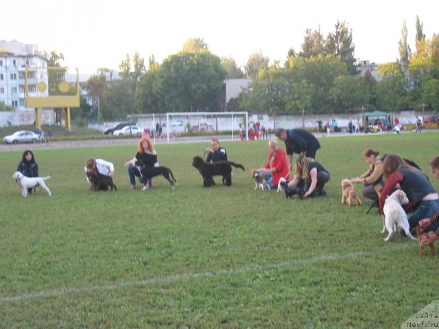 Фотография № 50446