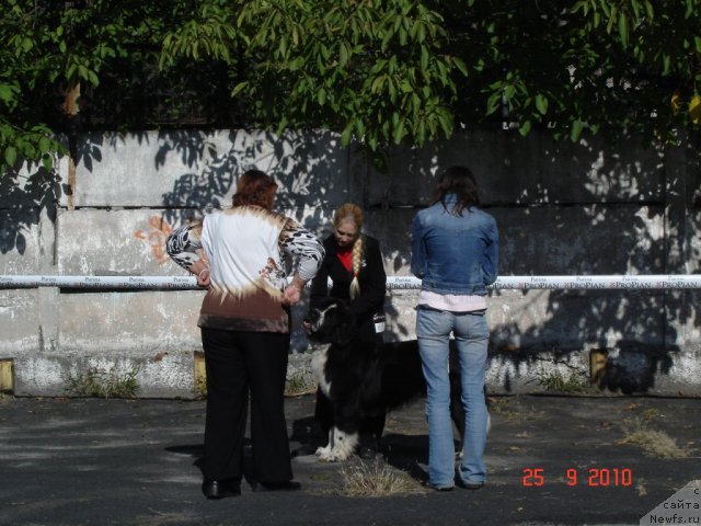 Фотография № 50466