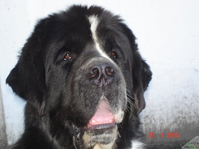 Фотография № 50478