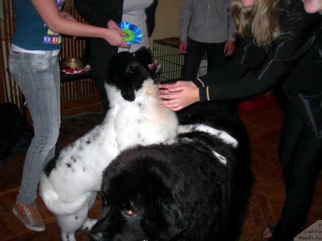 Фотография № 50489