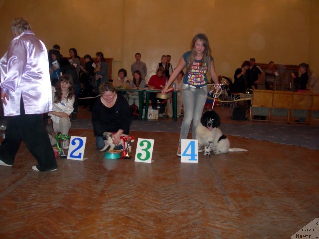 Фотография № 50490