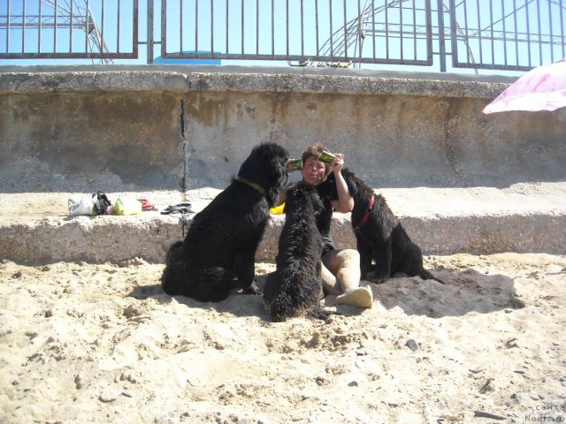 Фотография № 50529