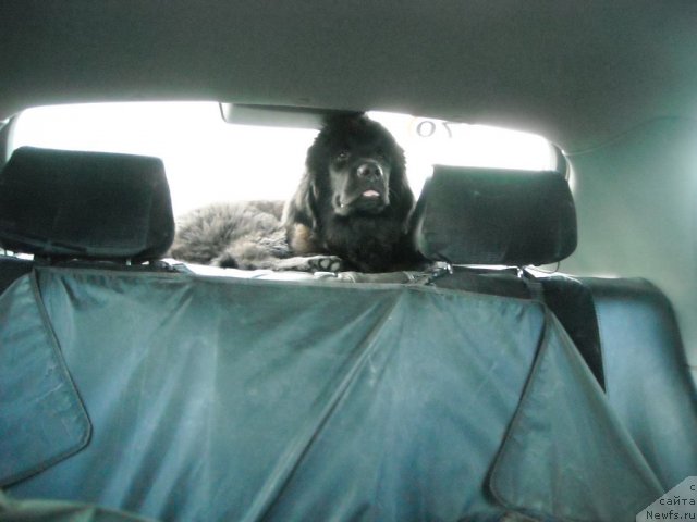 Фотография № 50553