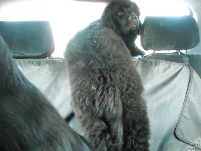 Фотография № 50555