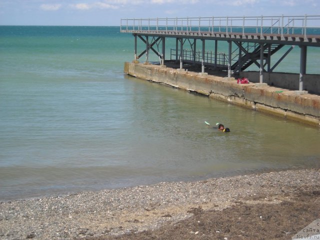 Фотография № 50562