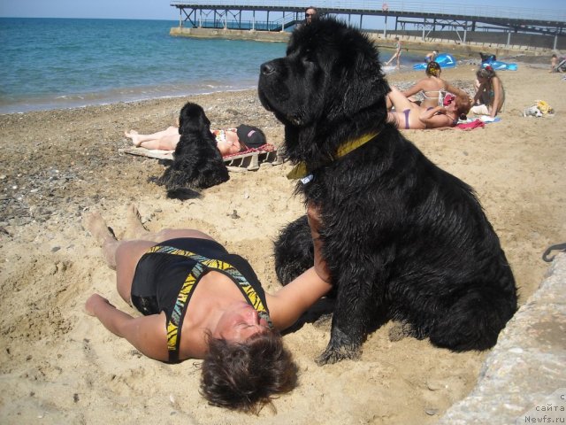 Фотография № 50563